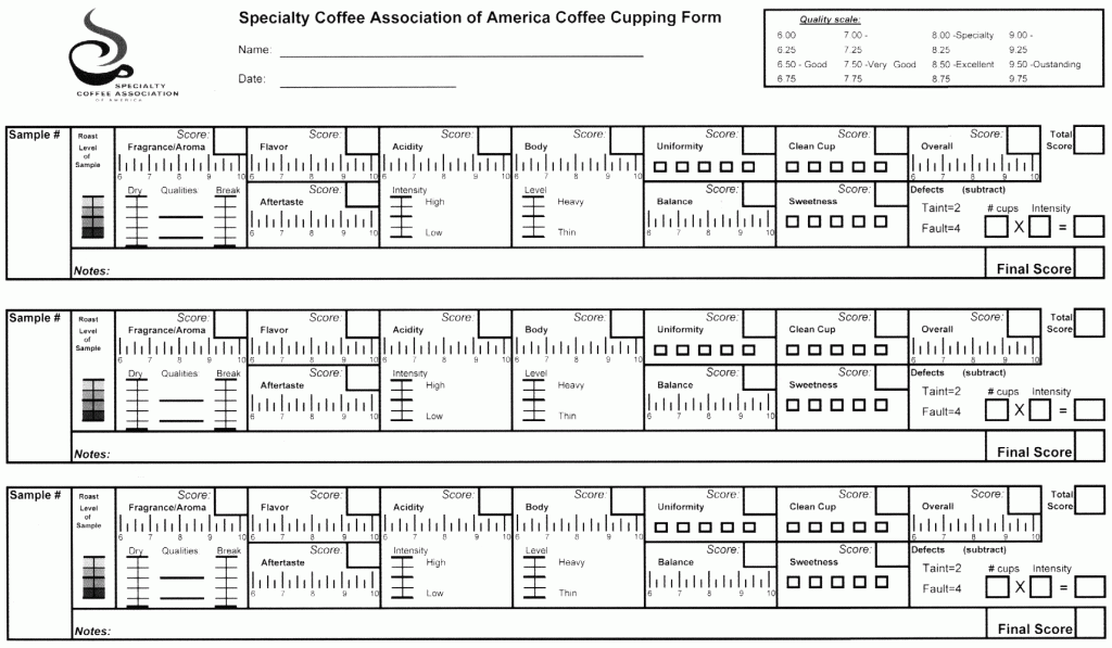 SCA Cupping Form